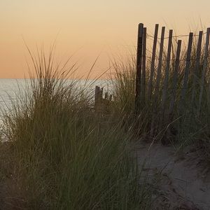 Meet your Posher, J.Jack